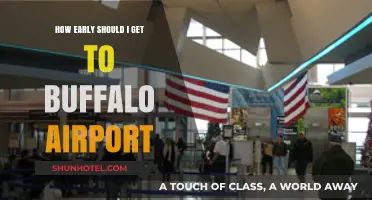 Buffalo Airport Arrival Guide: Timing Your Early Departure Perfectly