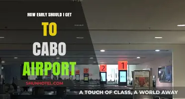 Cabo Airport Arrival Tips: Timing Your Travel for a Stress-Free Experience