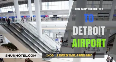 Navigating Detroit Airport: Optimal Arrival Times for Stress-Free Travel