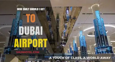 Navigating Dubai Airport: Optimal Arrival Times for Stress-Free Travel