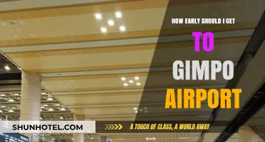 Gimpo Airport Arrival Guide: Optimal Timing for Stress-Free Travel