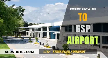 Best Time to Arrive at GSP Airport: A Stress-Free Travel Guide