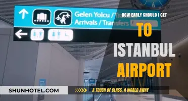 Istanbul Airport Arrival Guide: Timing Your Early Departure Perfectly