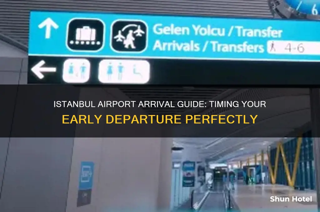 how early should i get to istanbul airport