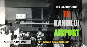 Kahului Airport Arrival Guide: Timing Your Trip for Stress-Free Travel