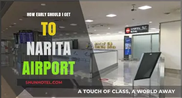 Narita Airport Arrival Guide: Optimal Timing for Stress-Free Travel