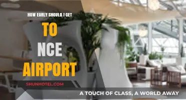 Arriving at NCE Airport: Optimal Timing for Stress-Free Travel