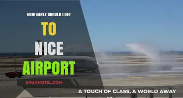 Navigating Nice Airport: Optimal Arrival Times for Stress-Free Travel