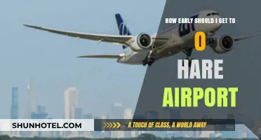 Navigating O'Hare: Optimal Arrival Times for Stress-Free Travel