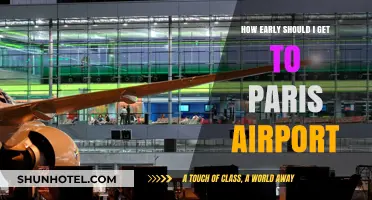 Navigating Paris Airport: Optimal Arrival Times for Stress-Free Travel