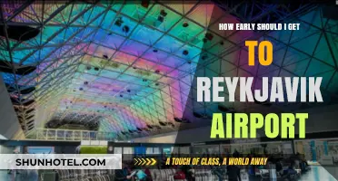 Reykjavik Airport Arrival Guide: Optimal Timing for Stress-Free Travel