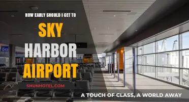 Arriving at Sky Harbor: The Ideal Early Arrival Time Guide