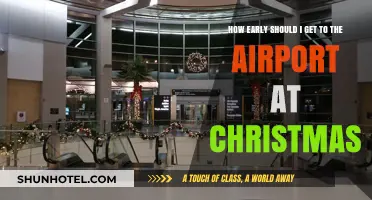 Christmas Travel Tips: Ideal Airport Arrival Time for Stress-Free Holidays
