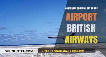 British Airways Airport Arrival Tips: How Early Should You Arrive?