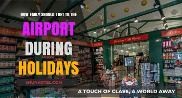 Holiday Travel Tips: Ideal Airport Arrival Times for Stress-Free Flights