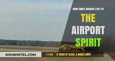 How Early Should You Arrive at the Airport for Spirit Flights?