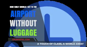 Stress-Free Travel: Optimal Airport Arrival Time Without Checked Luggage