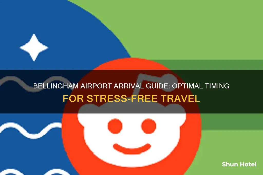 how early should i get to the bellingham airport