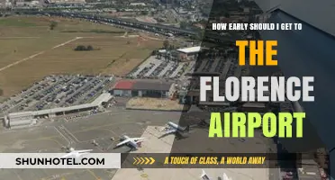 Florence Airport Arrival Guide: Timing Your Early Departure Perfectly