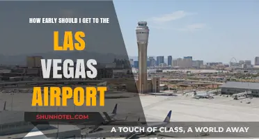 Navigating Las Vegas Airport: Optimal Arrival Times for Stress-Free Travel