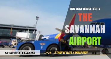 Savannah Airport Arrival Tips: Best Time to Arrive Stress-Free