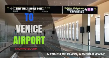 Arriving at Venice Airport: Timing Tips for a Stress-Free Departure