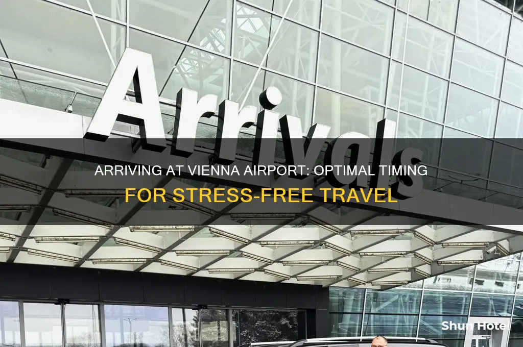 how early should i get to vienna airport