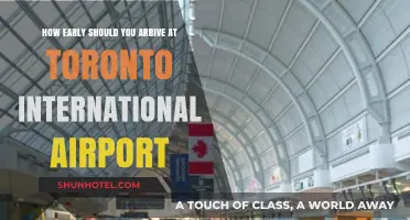 Navigating Toronto International Airport: Optimal Arrival Times for Stress-Free Travel