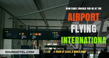 International Travel Tips: Optimal Airport Arrival Time for Stress-Free Flights
