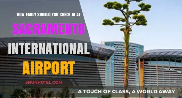 Sacramento Airport Check-In: Optimal Timing for Stress-Free Travel
