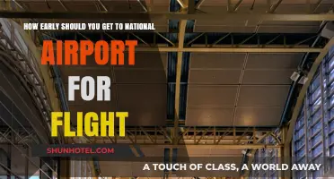 Navigating National Airport: Optimal Arrival Times for Stress-Free Flights