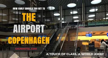 Copenhagen Airport Arrival Guide: Optimal Timing for Stress-Free Travel