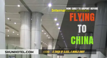 Flying to China? Optimal Airport Arrival Time Guide for Travelers