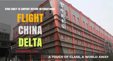 China Delta International Flights: Optimal Airport Arrival Time Guide