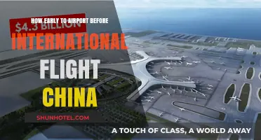 Navigating China's Airports: Optimal Arrival Time for International Flights