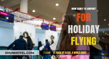 Holiday Travel Tips: Optimal Airport Arrival Times for Stress-Free Flying