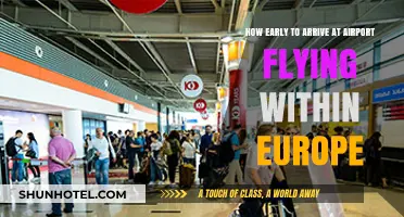 Flying Within Europe: Optimal Airport Arrival Time Tips for Travelers
