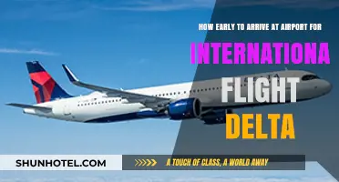 Delta International Flights: Optimal Arrival Time Tips for Stress-Free Travel