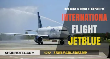 JetBlue International Flight: Optimal Arrival Time at the Airport