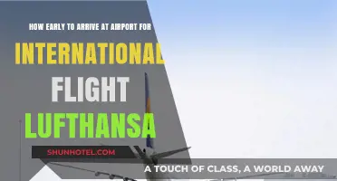 Lufthansa International Flights: Optimal Airport Arrival Time Guide