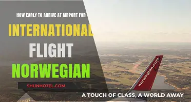 International Flight Tips: Norwegian Airport Arrival Time Guide
