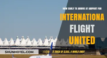 International Travel Tips: Ideal Arrival Time for United Flights