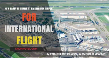 Amsterdam Airport International Flights: Optimal Arrival Time Guide