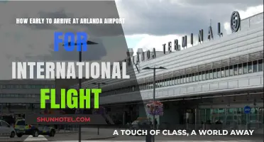 Stress-Free Travel: Optimal Arrival Time for Arlanda International Flights