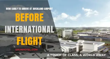 Auckland Airport International Flights: Optimal Arrival Time Guide