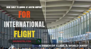 Arriving Early at Austin Airport: International Flight Prep Tips