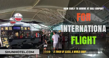 Bali Airport International Flight: Optimal Arrival Time Guide