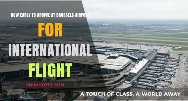 Brussels Airport International Flights: Optimal Arrival Time Guide