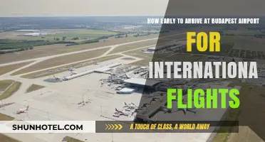 Budapest Airport International Flights: Optimal Arrival Time Guide
