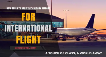 Calgary Airport International Flights: Optimal Arrival Time Guide